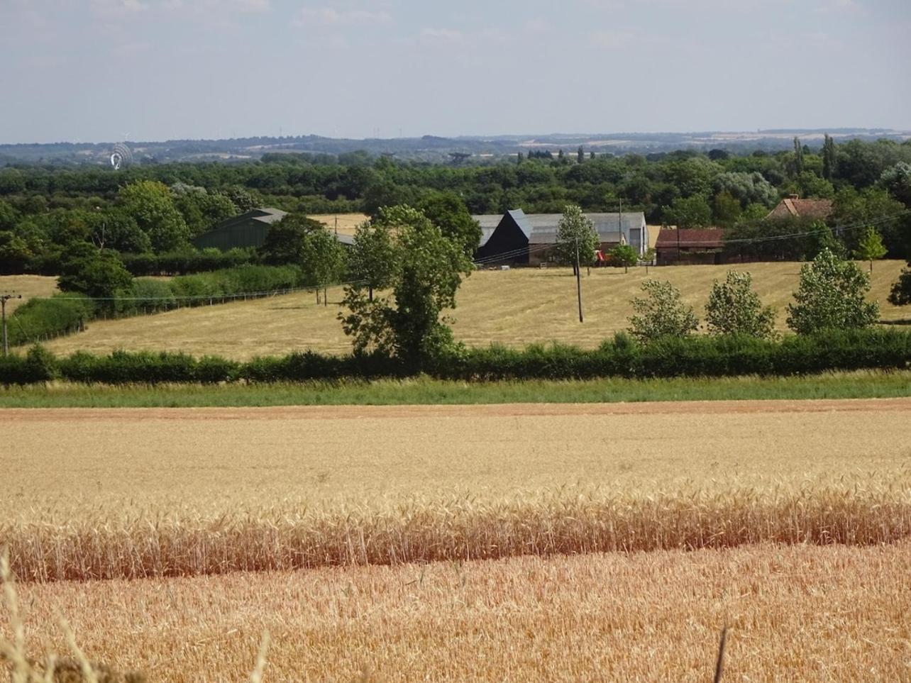 Pretty In Peaceful Village Location - Easy Commute To Cambridge (Cambridgeshire)